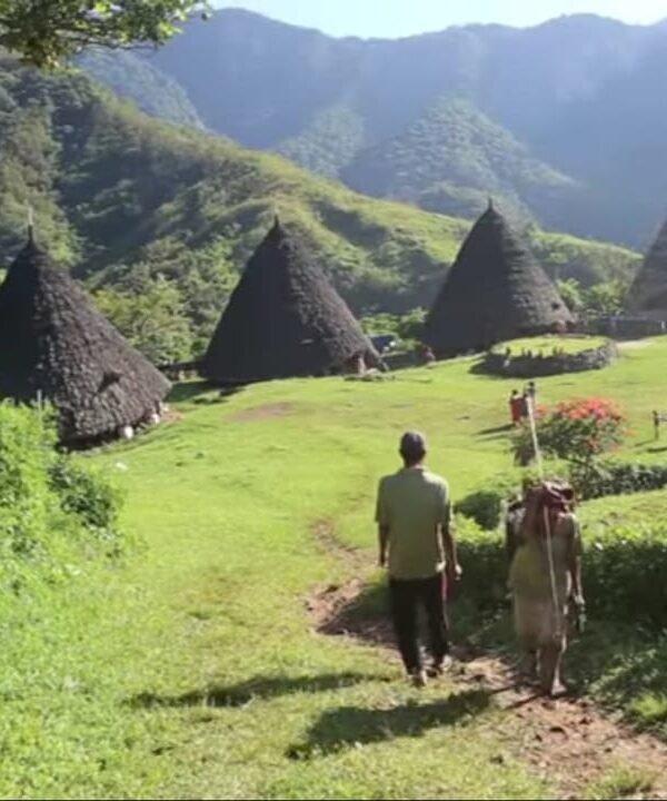 trekking flores komodo